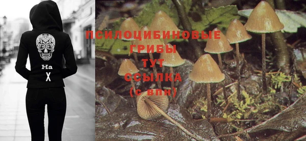 хмурый Армянск